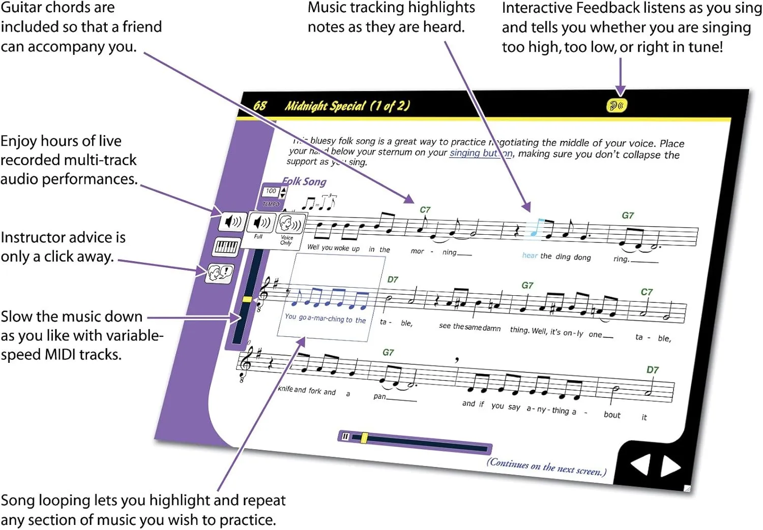eMedia Singing For Dummies Level 2 [PC Download]